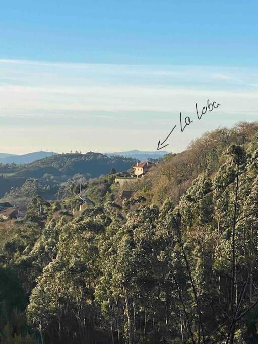 La Loba - Un Pequeno Paraiso A Tu Alcance Villa Fornelos de Montes ภายนอก รูปภาพ